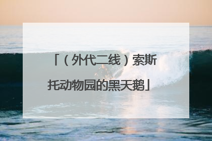（外代二线）索斯托动物园的黑天鹅